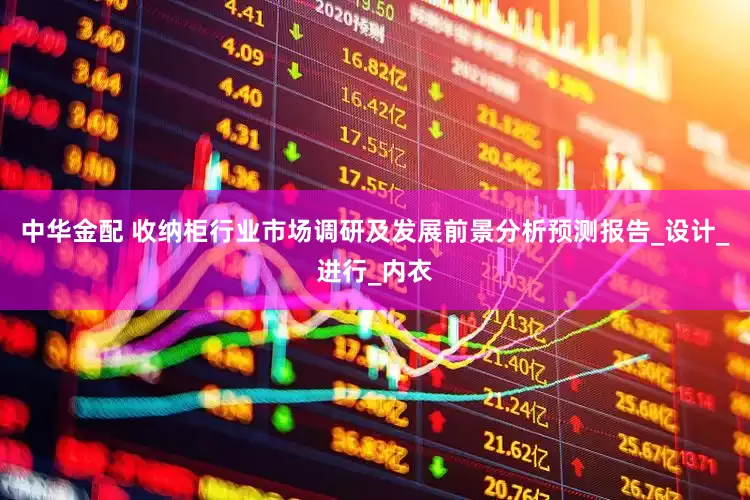 中华金配 收纳柜行业市场调研及发展前景分析预测报告_设计_进行_内衣
